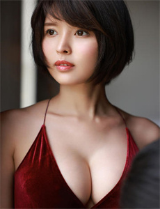 犬猿