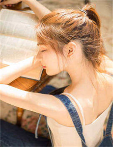 神探阿蒙第八季
