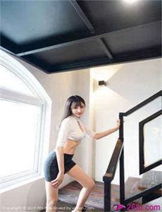 小狮子赛几 第二季