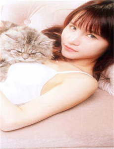 猫咪社区视频在线播放